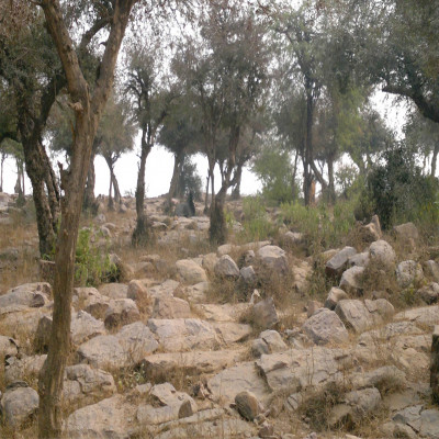 Govardhan Puja Trip